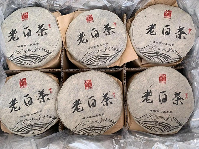 福鼎白茶老白茶 福鼎白茶老白茶